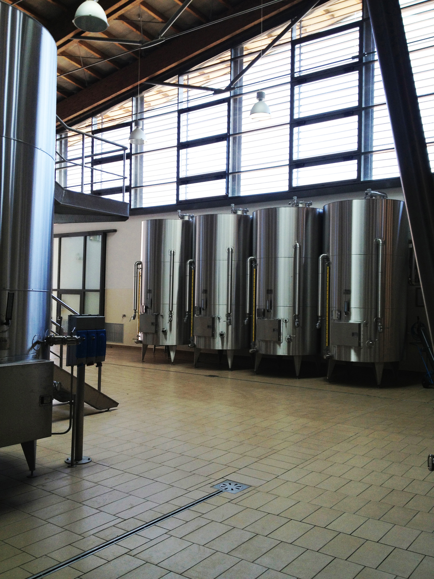 Cantine Antinori: Foto 4